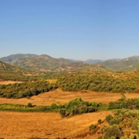A Maestra Sartene (Corsica)